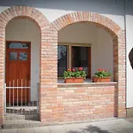 Oazis * Mórahalom