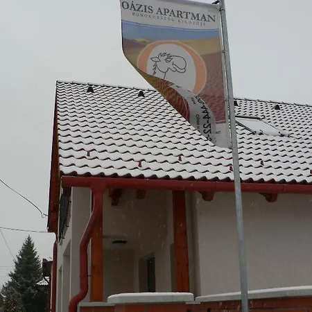 Oazis *