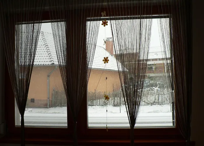 Oazis Daire *
